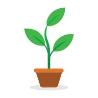 small tree on tob flat illustration on white background. vector