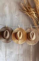 Three Straw Hats Hanging On A White Curtain In A Sunny Room photo
