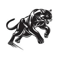 Puma image , illustration of a puma on a white background vector