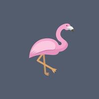 flamingo bird in design. vector