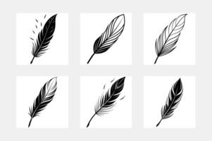 Captivating Feather Illustrations on White Background Collection vector
