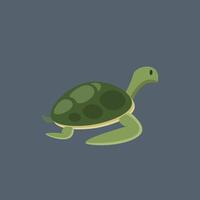 a turtle in flat design. vector