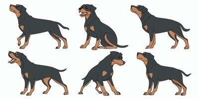 a set of four different rotweilers vector