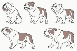 a set of four different types of bulldog dog vector