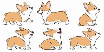 a set of six different corgis in different poses vector