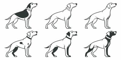 dog breeds in different poses and sizes vector