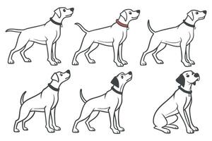 a set of different dog breeds with different poses vector