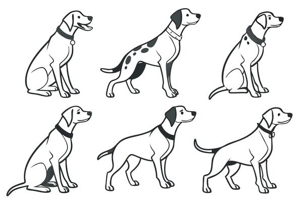 dog breeds in different poses, including a pointer and a pointer