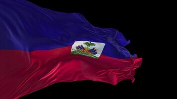 3d animation of the national flag of Haiti waving in the wind. video