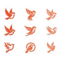 White throated Sparrow Collection Design vector