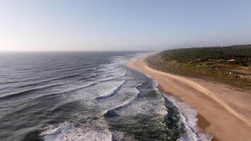 Ocean waves rolling onto a sandy beach, bordered by a lush green forest, create a serene coastal scene video