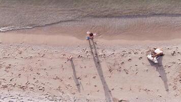 Top view of a family relaxing on the beach video