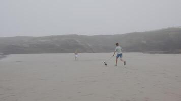 Foggy beach scene with a young boy walking a small dog and a girl running, surrounded by cliffs and a misty atmosphere video