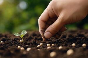 A hand planting seeds in soil next to a small sprout. photo