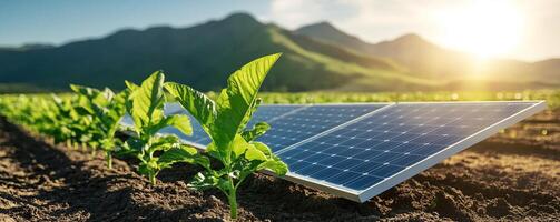 Solar panels in a field with young plants and mountains in the background. photo