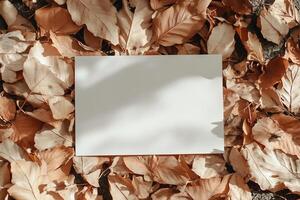 A blank card on a bed of autumn leaves, creating a tranquil scene. photo