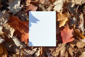 A blank sheet of paper resting on colorful autumn leaves. photo