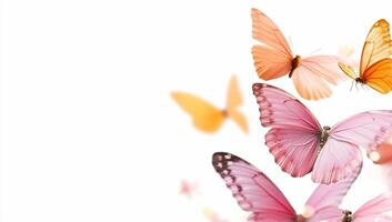 A vibrant display of colorful butterflies against a white background. photo
