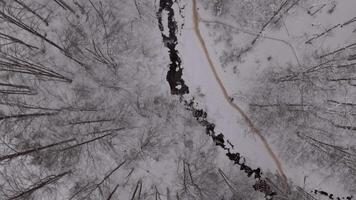 Top view of a river in the mountains surrounded by forest video