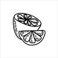 Lemons hand drawn in doodle style. Half a lemon and a lemon slice. Black and white illustration. vector