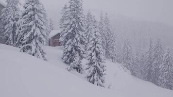 Snow-covered cabin in a winter forest video