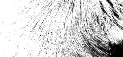 Deteriorated surface displaying sophisticated grain formations and authentic aging marks, combining rough characteristics and abstract noise vector