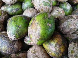 green background of kedondong fruit photo