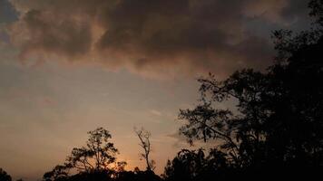 Time lapse of the almost last steps of the sunset behind the mostly alder trees forest of the eastern Andean mountains of central Colombia. video