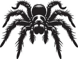 A black and white spider on a white background vector