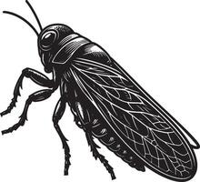 A black and white drawing of a grasshopper vector