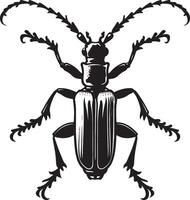 A black and white beetle on a white background vector