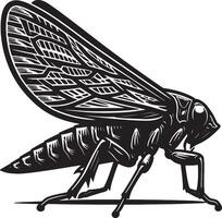 A cicada insect with a black and white design vector