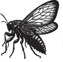 A black and white drawing of a large insect vector