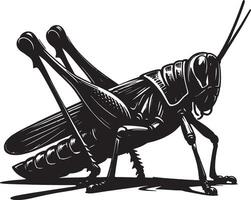 Grasshopper Silhouettes in a Minimalist Design vector