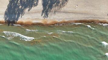 Top-down aerial view of Lake Michigan shoreline with gentle waves on a sunny day, Crystal-clear water and sandy beach captured from above, with soft waves lapping the shoreline. video