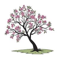 A Redbud Tree tree full image, solid color, with a white background image vector