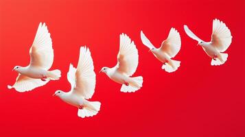 White birds flying peacefully in the sky n a red background. 16 photo
