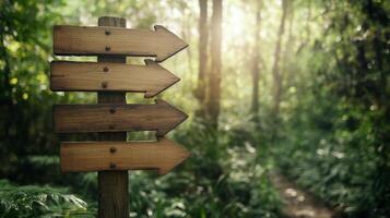 The simple wooden sign in a tranquil forest with wooden arrows pointing in different directions. 16 photo