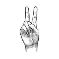 Hand Showing Number 2 vector