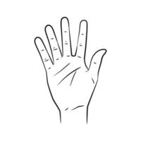 Hand Showing Number 5 vector