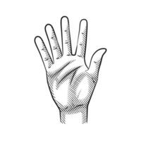 Line Art Hand Gesture Showing Number 5 vector