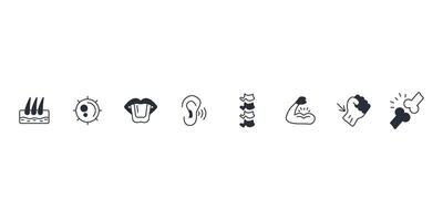 Anatomy icon set.Editable stroke.linear style sign for use web design,logo vector