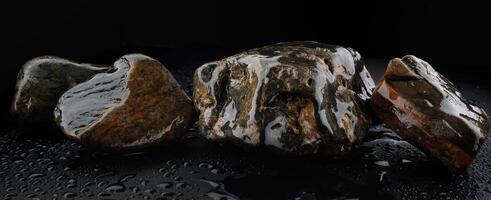 Beautiful wet stones laid out in a row on a black background. photo