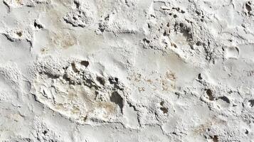 Textured White Wall Close-up with Detailed Surface and Natural Light photo