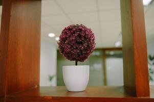 Purple Flower Sphere on Shelf photo