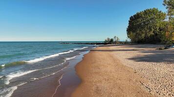 Sandy beach with calm ocean waves, Peaceful beach scene with gentle waves, trees, and a clear blue sky. video