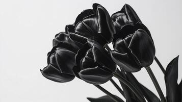 Close up of beautiful bouquet of black tulips on simple colored background. 9 photo