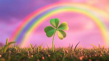 The green clover stands on grass with a pink sky background with a rainbow. photo