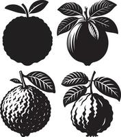 Guava silhouette set illustration and white background vector