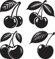 cherry silhouette set illustration and white background vector